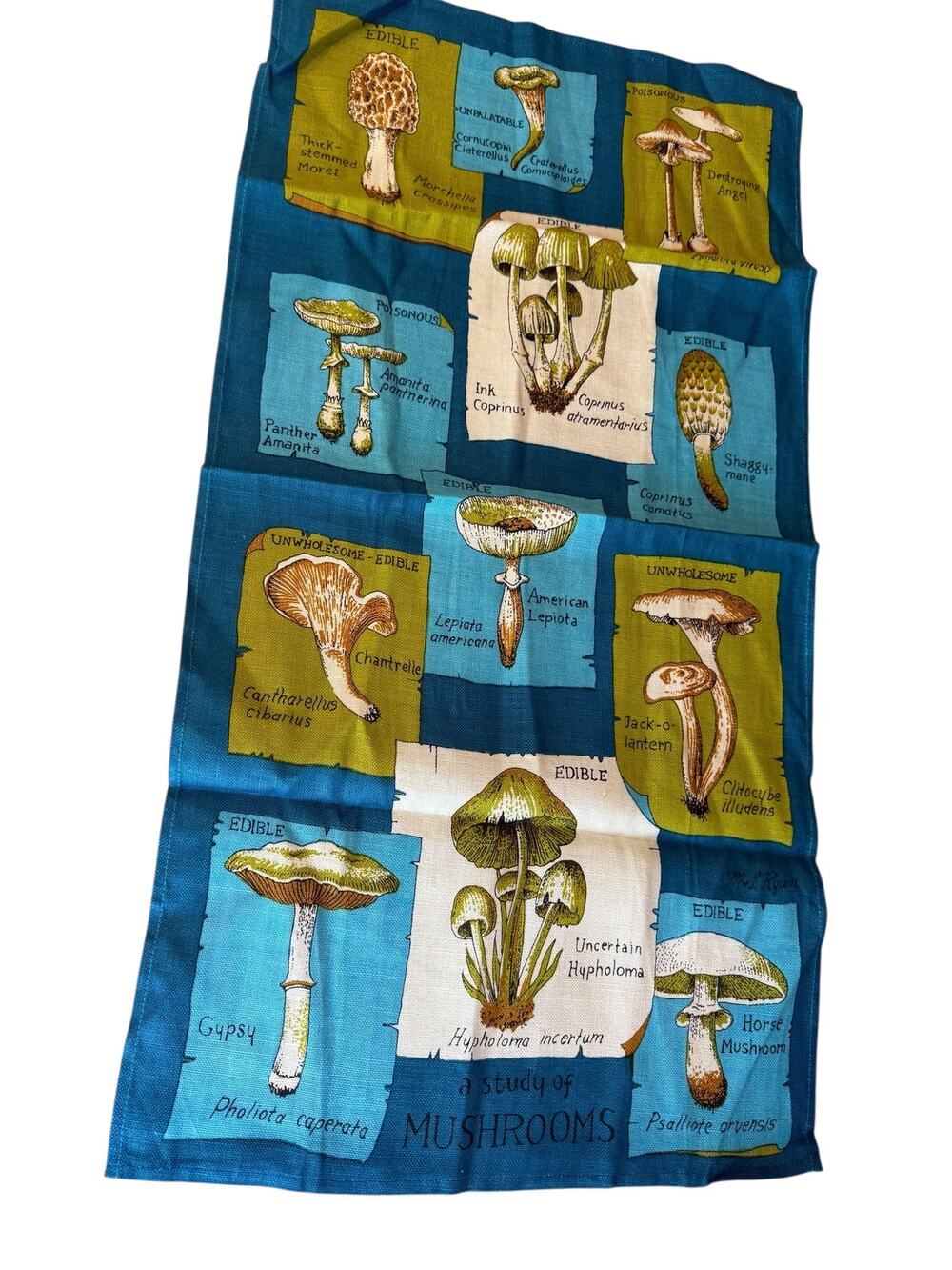 Vintage Mushroom Story Linen Tea Dish Towel Blue Green